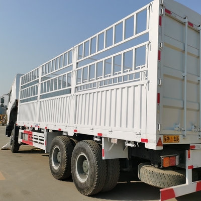 Sinotruk HOWO Lkw mit ECE-Reifenzertifizierung und Getriebe Wly6t46