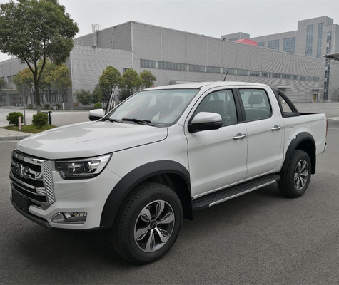 JAC Mini Diesel Benzin 4X4/4X2 Pick-Up für Kundenanforderungen